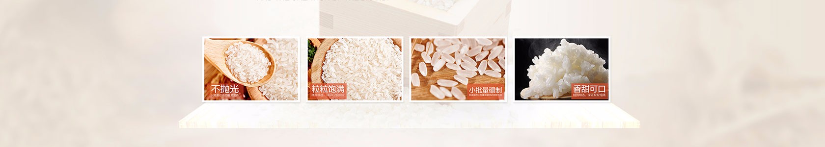 泉州市卓越科技有限公司